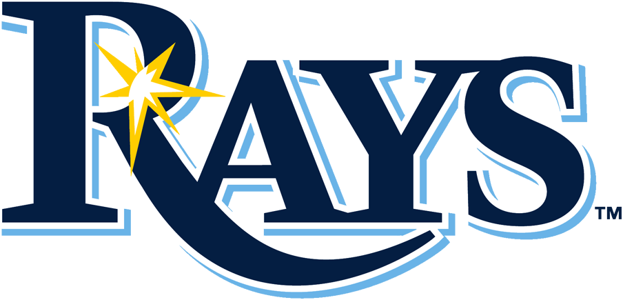 Tampa Bay Rays 2019-Pres Primary Logo DIY iron on transfer (heat transfer)
